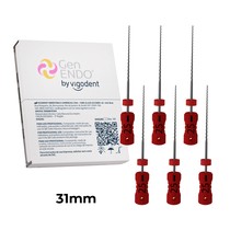 Lima H-File GenEndo Nº25 31 mm 6unid. - Vigodent