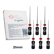 Lima H-File GenEndo Nº40 21 mm 6unid. - Vigodent