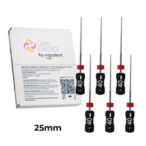 Lima H-File GenEndo Nº40 25 mm 6unid. - Vigodent