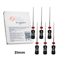 Lima H-File GenEndo Nº40 31 mm 6unid. - Vigodent