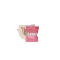 Manequim Odontopediatria Elc - Orais